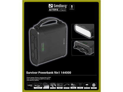 Sandberg UPS (42137)