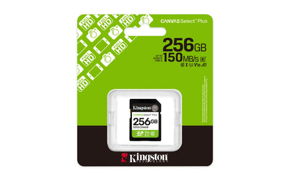 Kingston Technology SDS3/256GB 256GB HDD