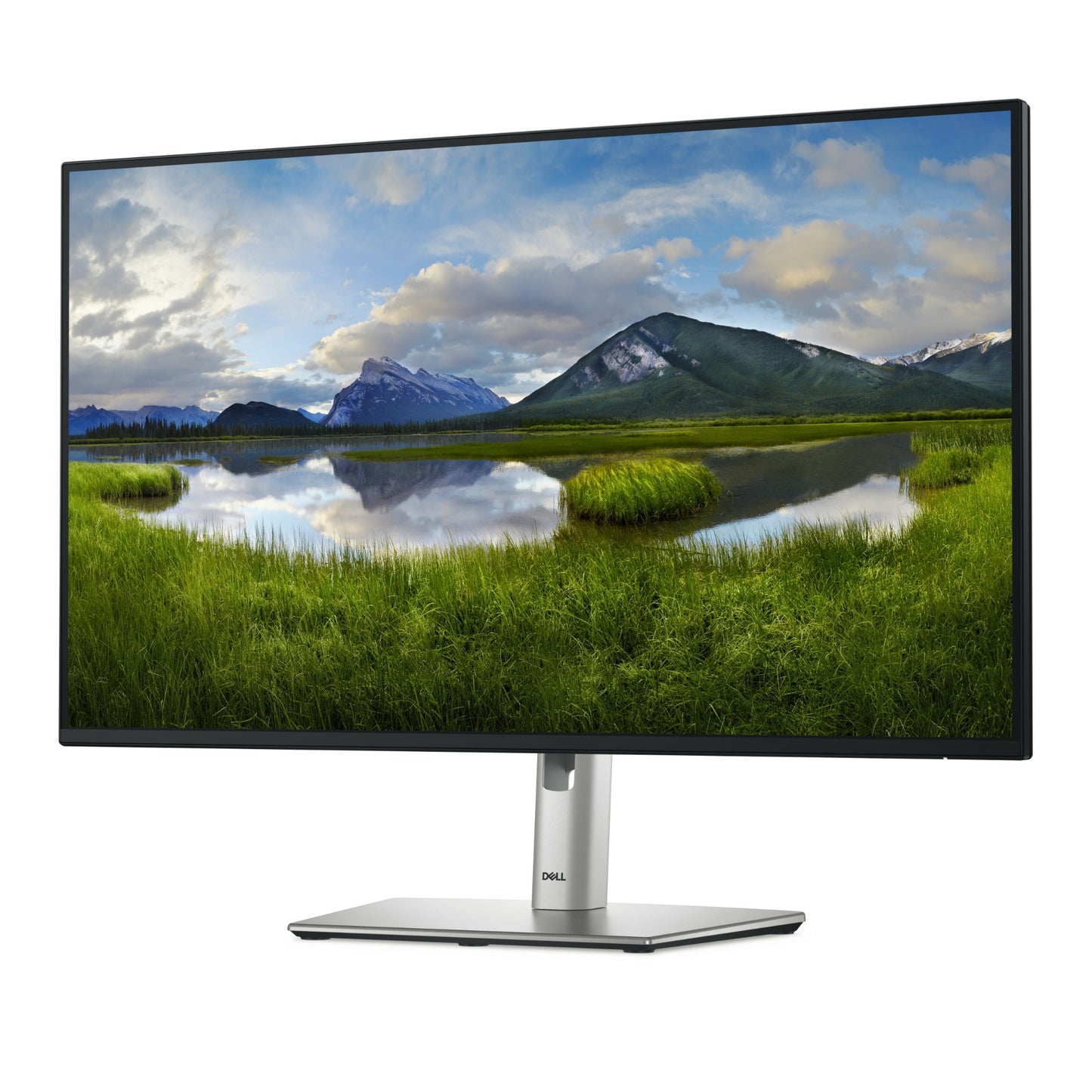 DELL Pro Plus P2725H 27" Full HD IPS 100Hz Monitor