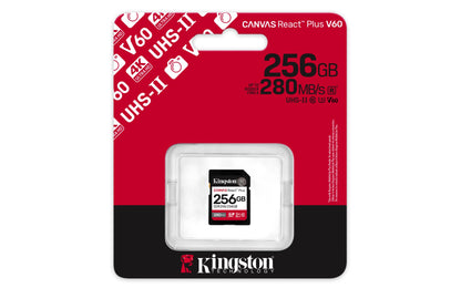 Kingston Technology SDR2V6/256GB 256GB HDD