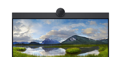 DELL P2424HEB 60.5 cm (23.8") LCD 1920 x 1080 pixels Full HD Webcam