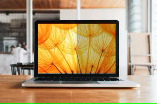 3M BP133W1E display privacy filter 33.8 cm (13.3") Laptop Frameless display privacy Privacy Screen