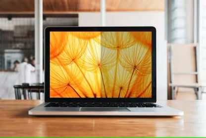 3M BP133W1E display privacy filter 33.8 cm (13.3") Laptop Frameless display privacy Privacy Screen
