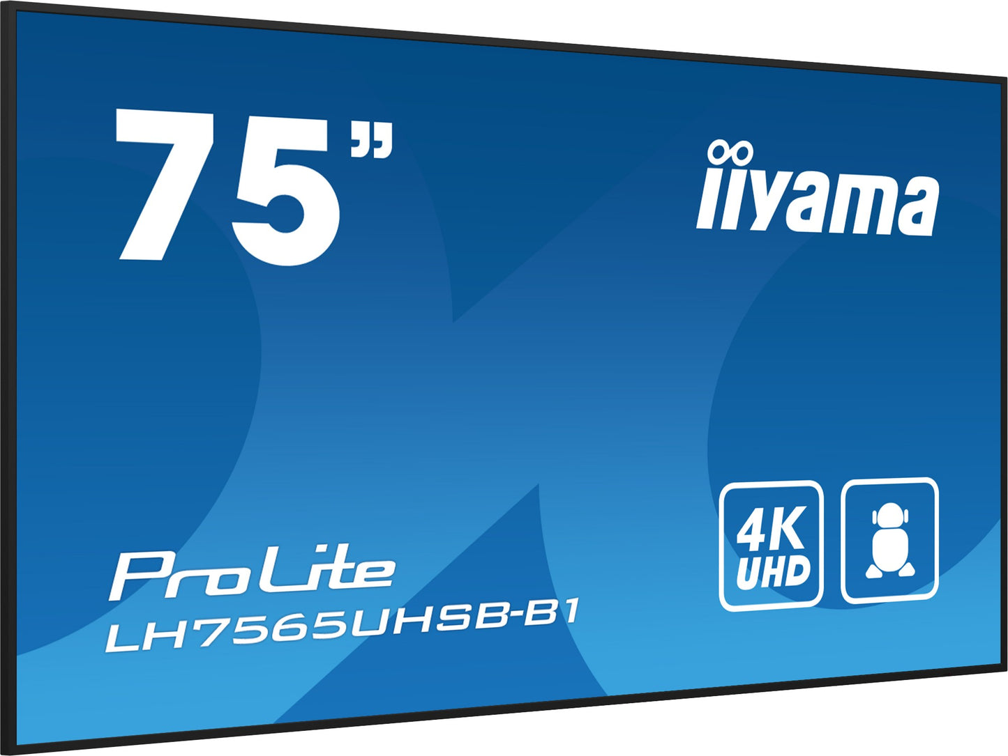 iiyama LH7565UHSB-B1 Signage Display Kiosk design 4K UHD IPS Monitor