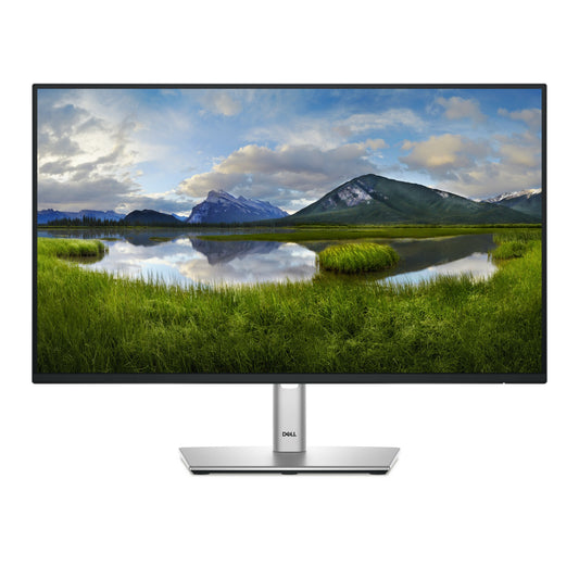 DELL Pro Plus P2425H 23.8" Full HD IPS 100Hz Monitor