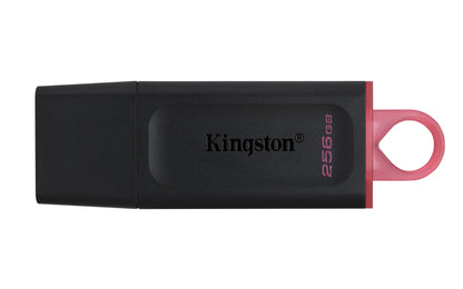 Kingston Technology DTX/256GB HDD