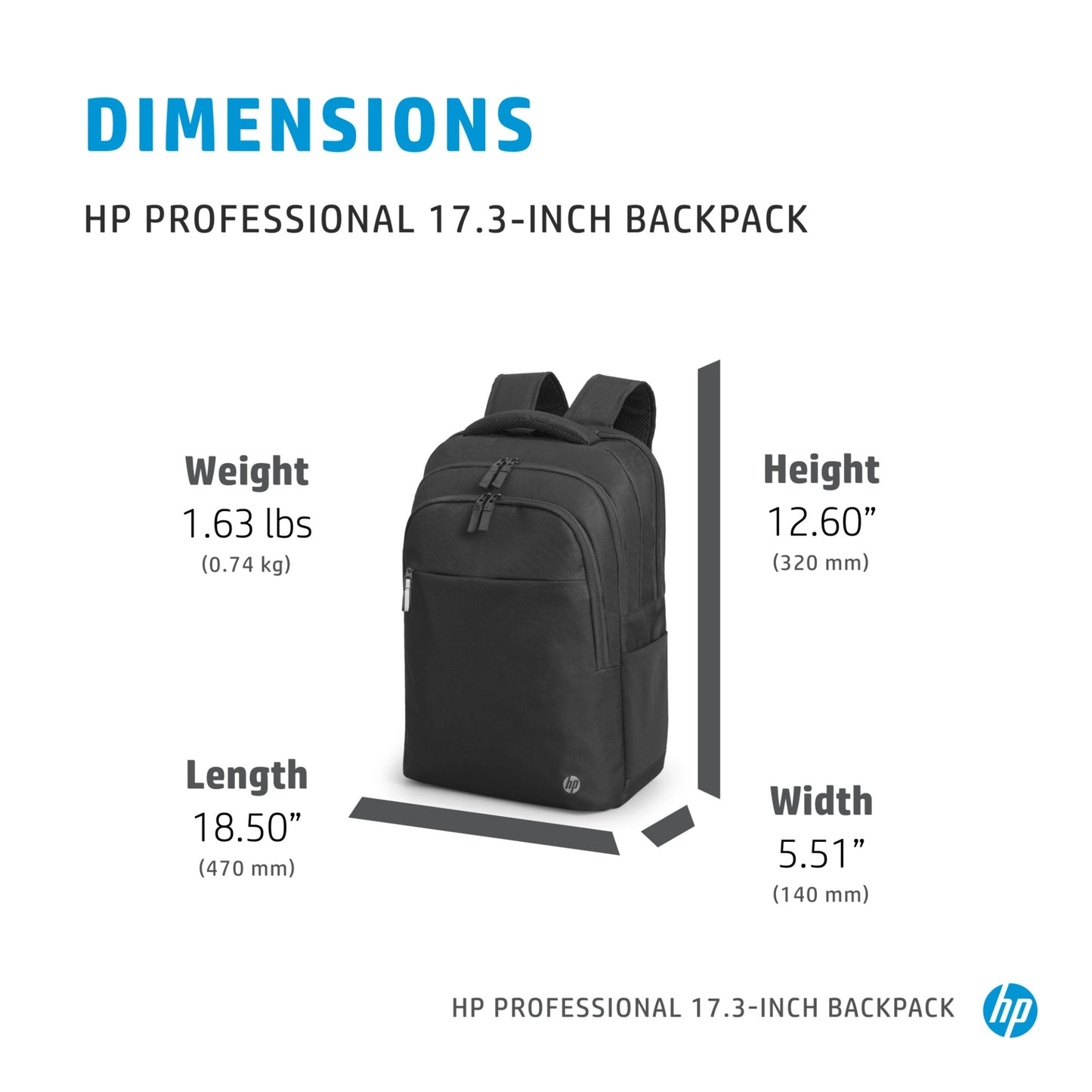 HP Professional 17.3-inch Backpack Laptop Bag