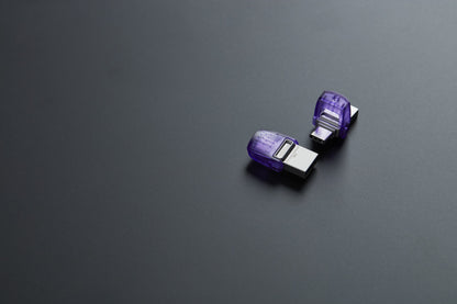 Kingston Technology DTDUO3CG3/256GB 256GB HDD