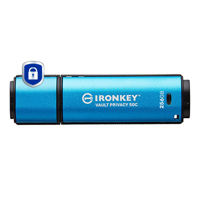 Kingston Technology IKVP50C/256GB 256GB HDD