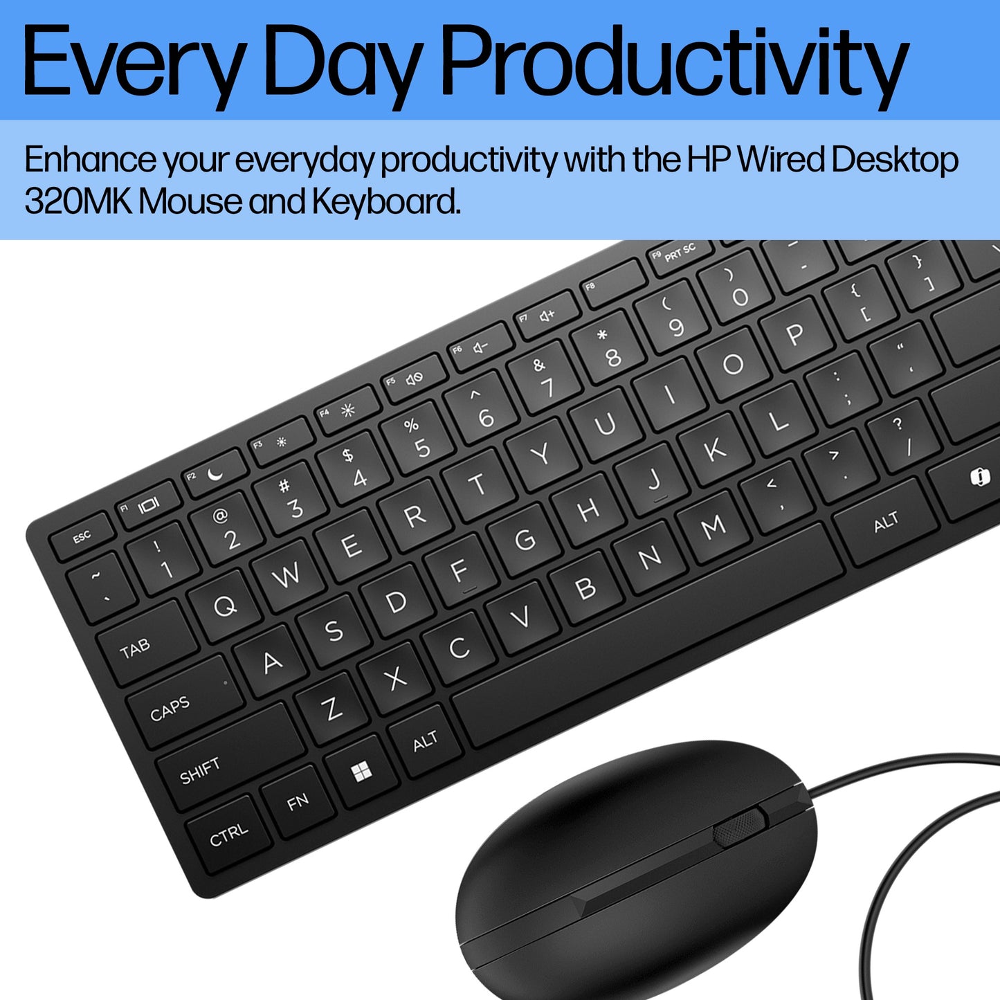 HP 320MK Wired Keyboard & Mouse Combo