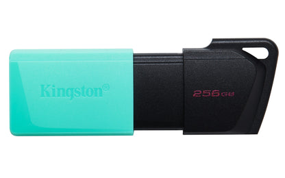 Kingston Technology Black 256GB HDD