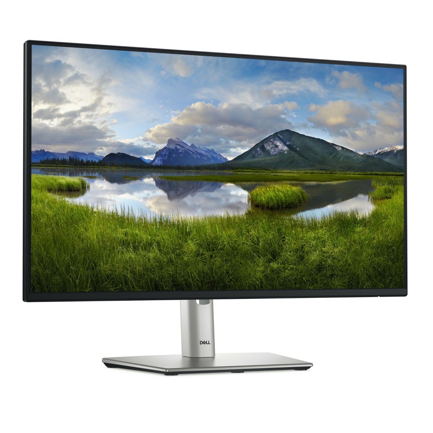DELL Pro Plus P2425H 23.8" Full HD IPS 100Hz Monitor