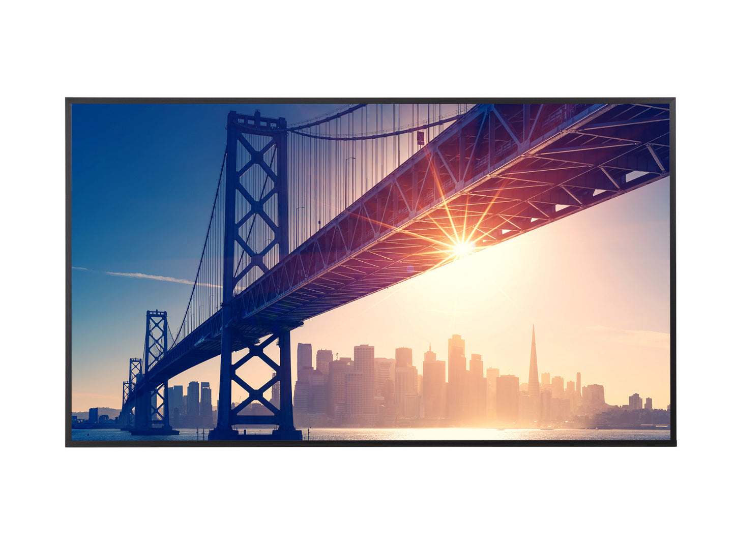 Sharp ME652 Digital signage flat panel 4K UHD IPS Monitor