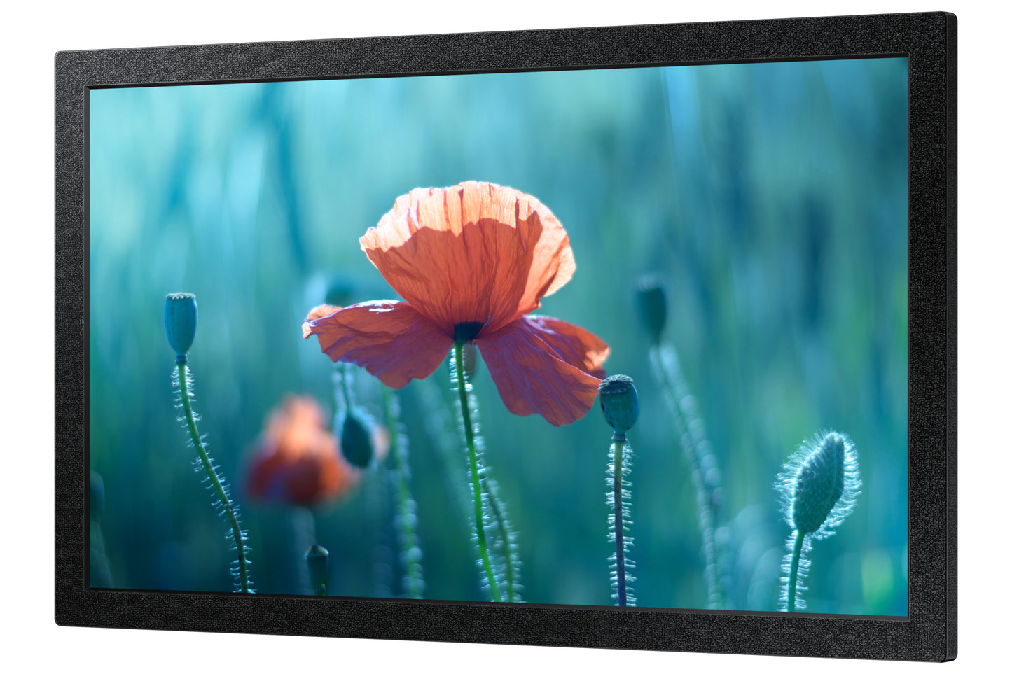 Samsung QB13C 13" Full HD Monitor