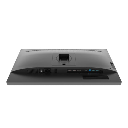 AOC P2 Q24P2Q 23.8" QHD IPS Monitor