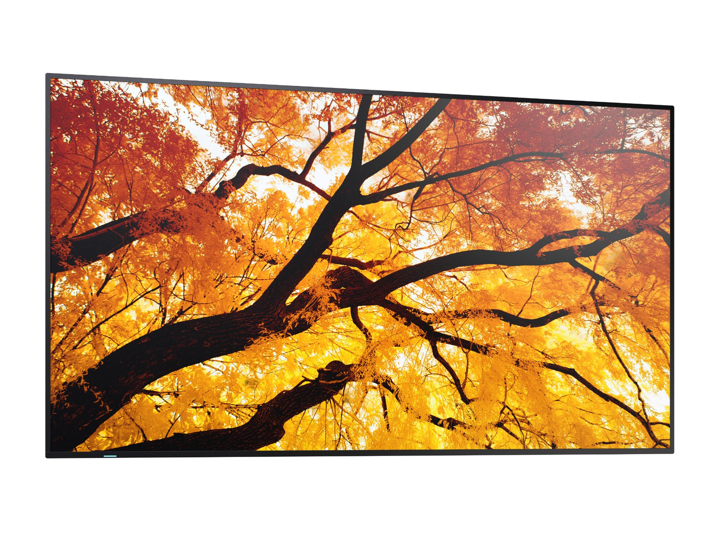 Sharp MultiSync PN-M752 4K UHD IPS Monitor