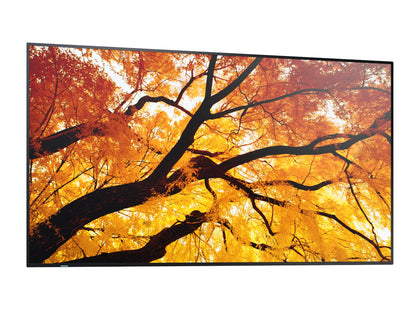 Sharp MultiSync PN-M752 4K UHD IPS Monitor