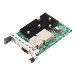 Broadcom N1400GD Internal Ethernet Network Adapter