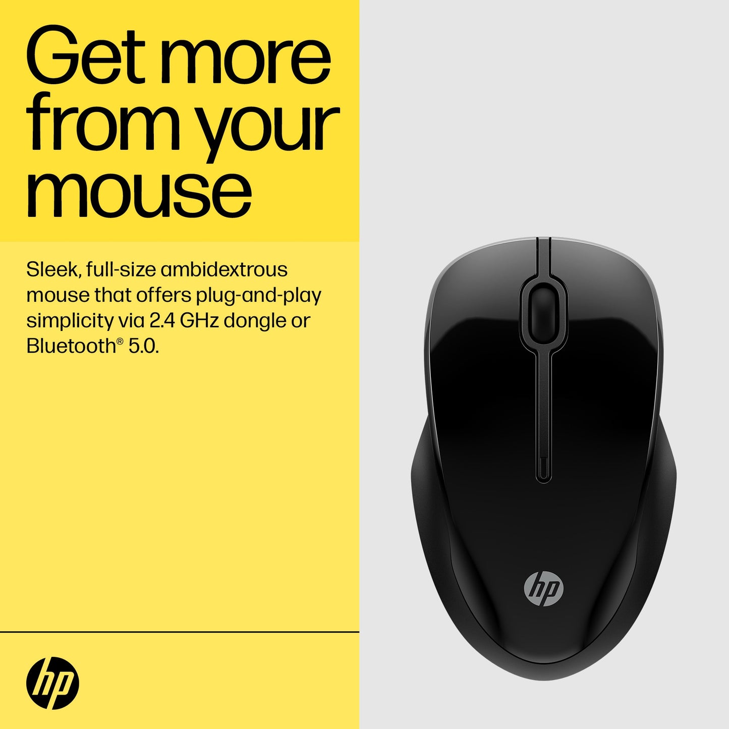HP 250 Dual Wired Mouse