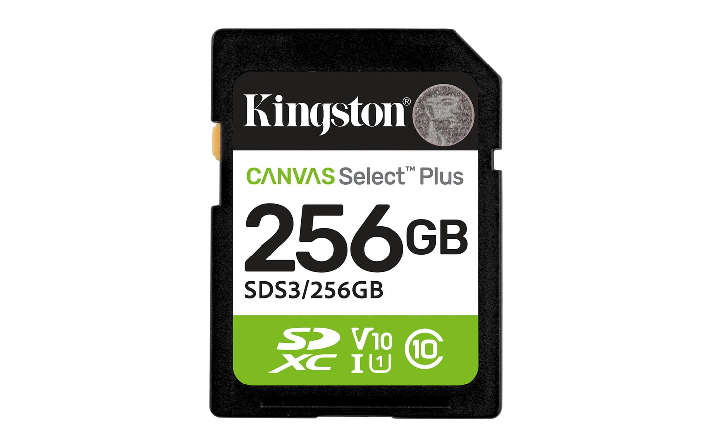 Kingston Technology SDS3/256GB 256GB HDD