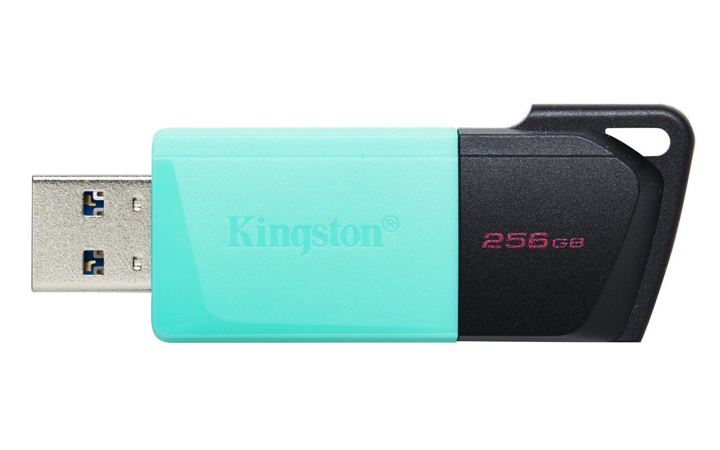 Kingston Technology Black 256GB HDD
