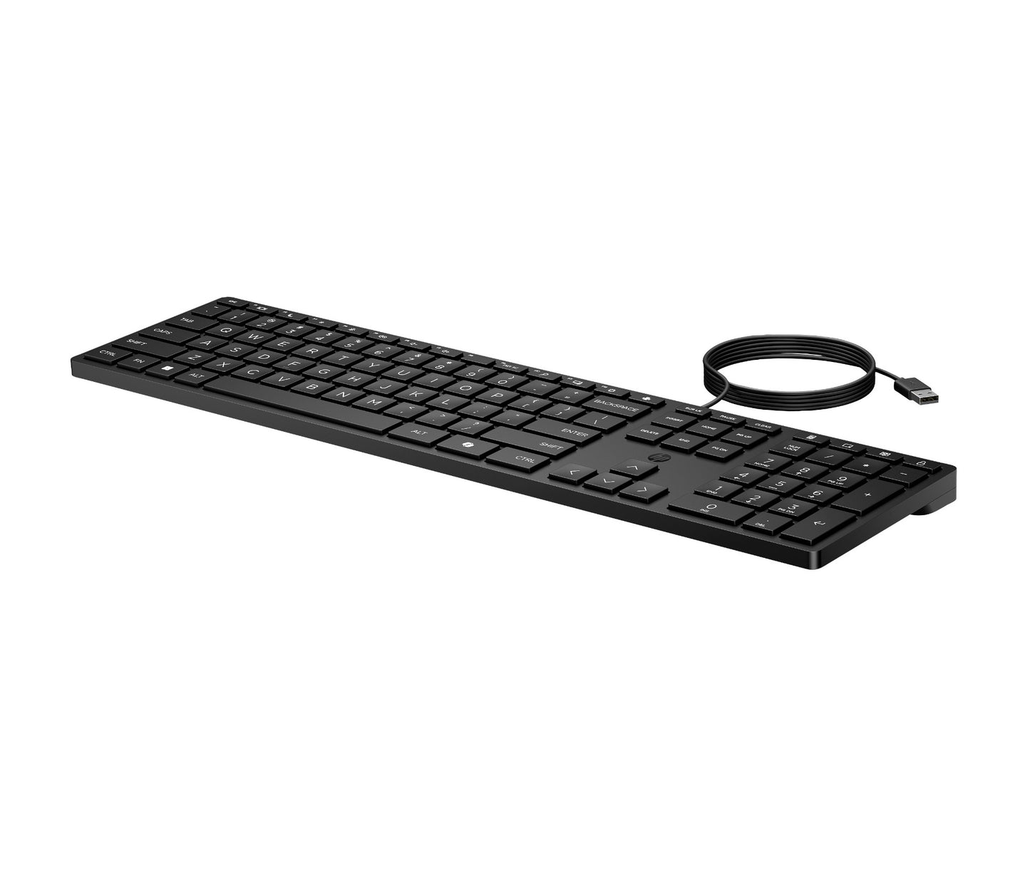 HP 320K Wired Keyboard (37UTABU)