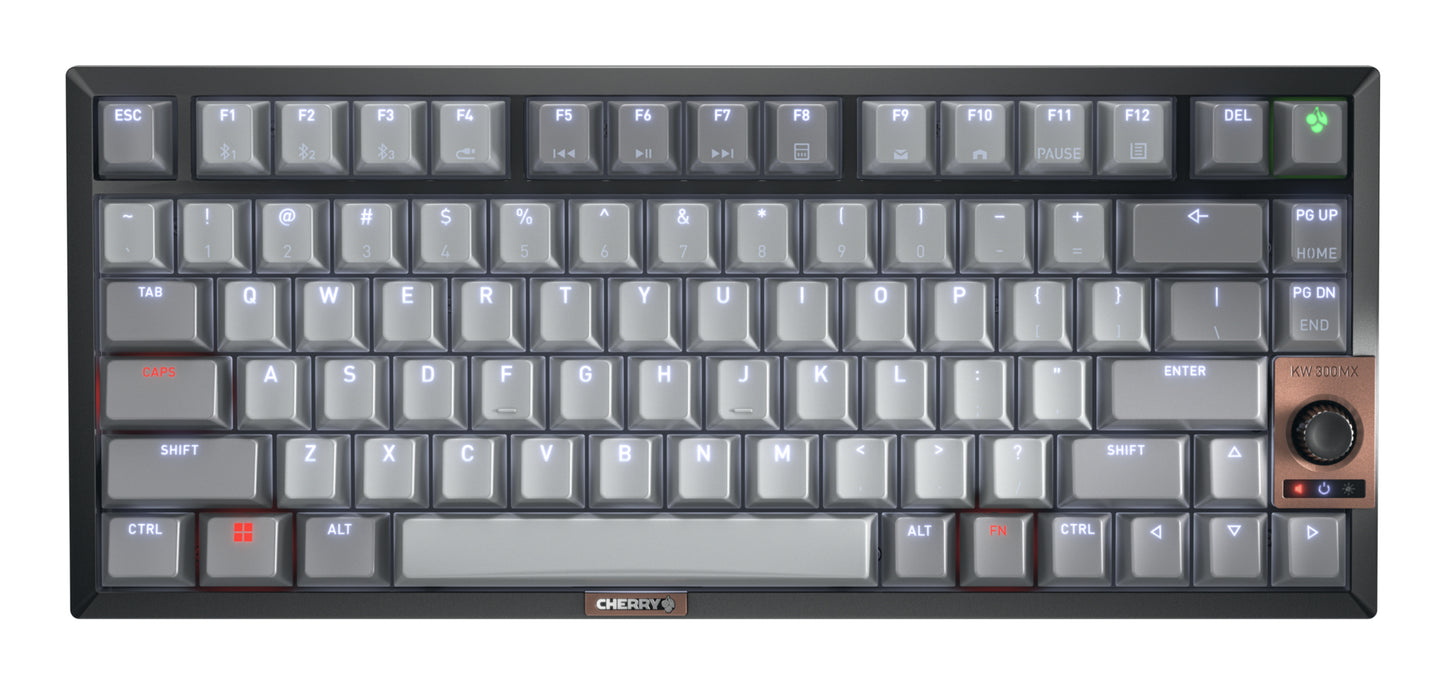 CHERRY KW 300 MX Wireless Mechanical Keyboard (0HHAUS2)
