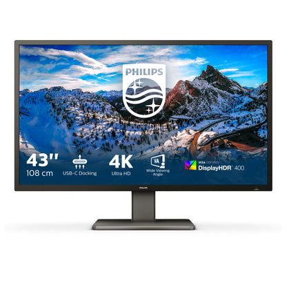 Philips P Line 439P1/00 42.5" 4K UHD VA Monitor