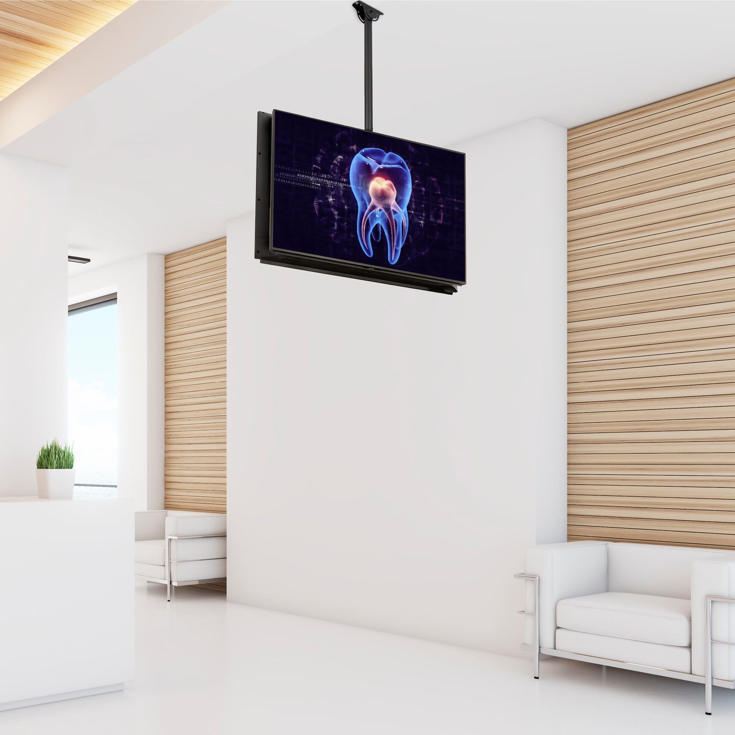 StarTech.com Dual TV Ceiling Mount - Back-to-Back Heavy Duty Hanging Dual Screen