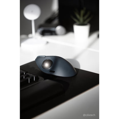 Kensington Pro Fit Ergo Wireless Mouse