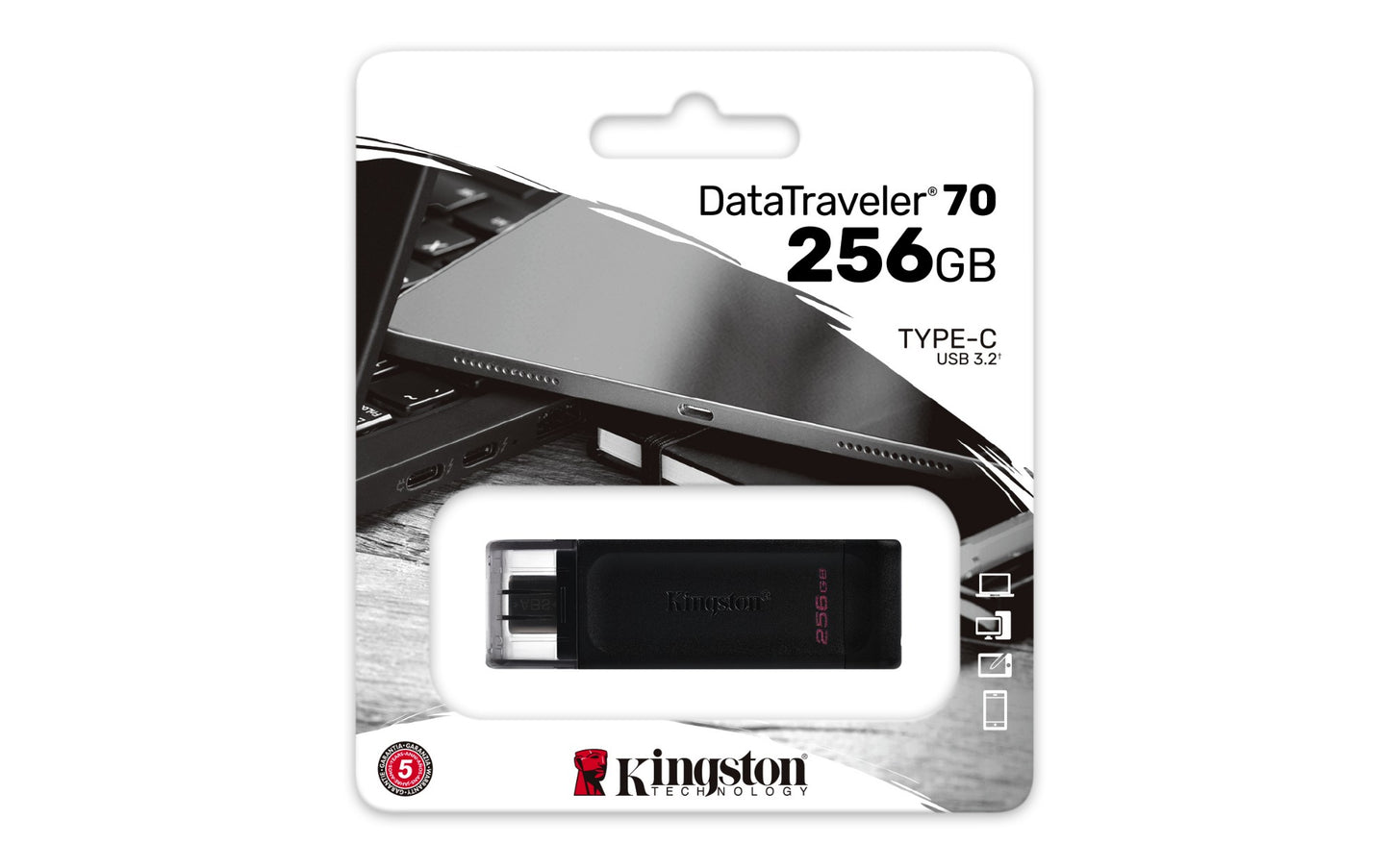 Kingston Technology DT70/256GB 256GB HDD